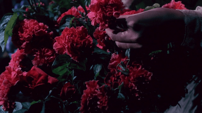 vlcsnap-2018-01-05-03h18m55s063