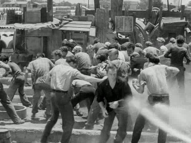 13178892_1072939736088863_5618484348174453199_n