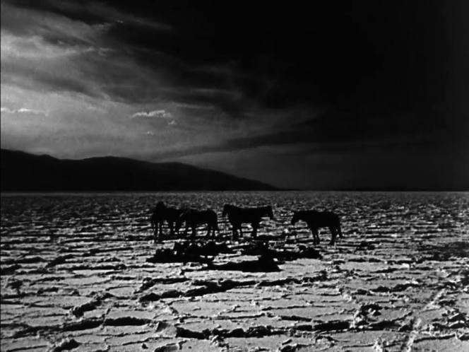 13230067_1075163289199841_5211513993079175315_n