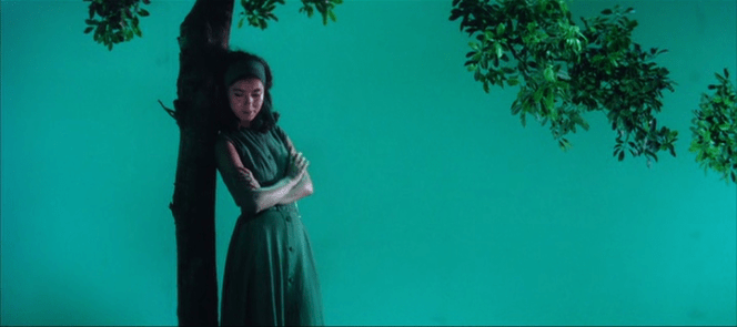 vlcsnap-2017-06-09-17h35m00s385