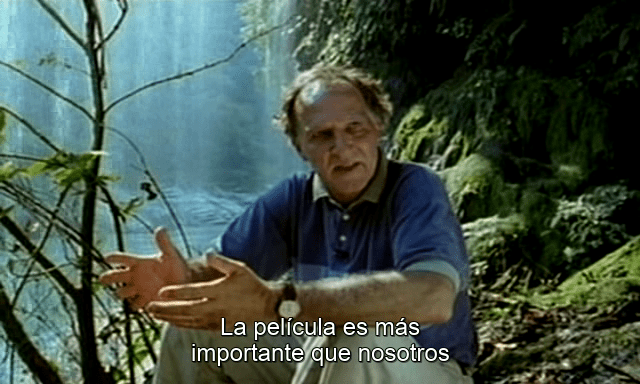 vlcsnap-2018-05-11-12h51m13s134