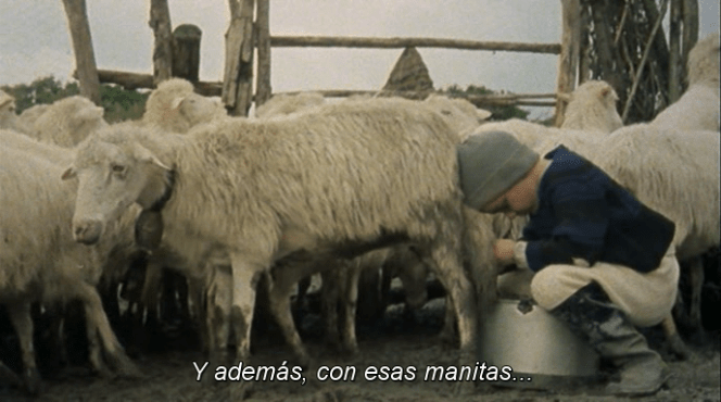 vlcsnap-2017-10-05-01h01m24s473