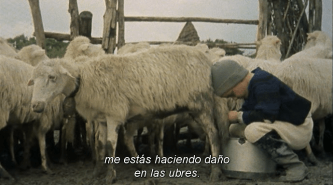 vlcsnap-2017-10-05-01h01m32s000