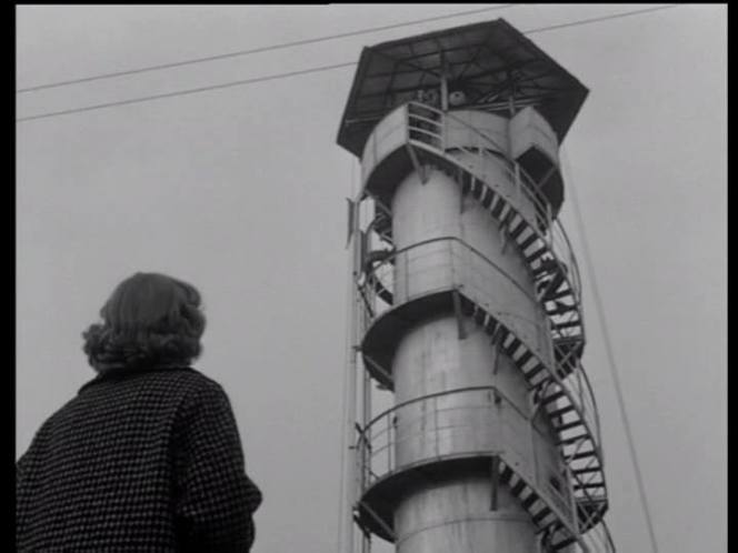 14364765_1158808777501958_21727544815488249_n