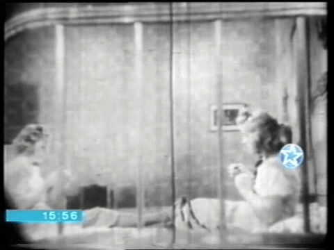 vlcsnap-2018-10-15-03h34m06s81