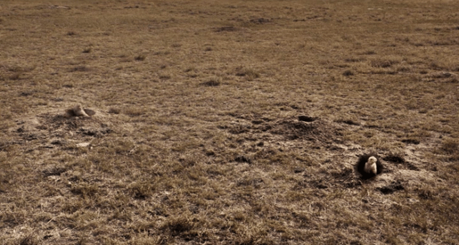 vlcsnap-2018-12-01-19h03m29s116