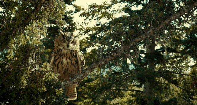 vlcsnap-2018-12-01-19h05m41s177