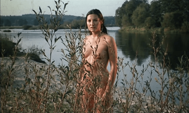 vlcsnap-2019-01-14-00h32m35s29