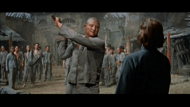 vlcsnap-2019-01-14-00h39m08s107