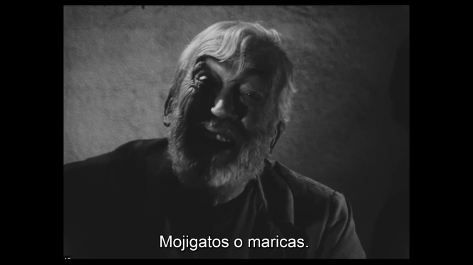 vlcsnap-2018-12-30-23h33m45s736