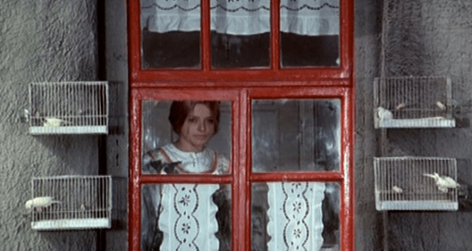 vlcsnap-2019-11-01-02h36m23s169