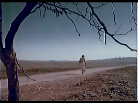 vlcsnap-2020-04-05-10h42m15s122