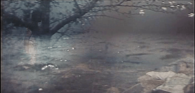 vlcsnap-2020-05-05-06h11m48s198