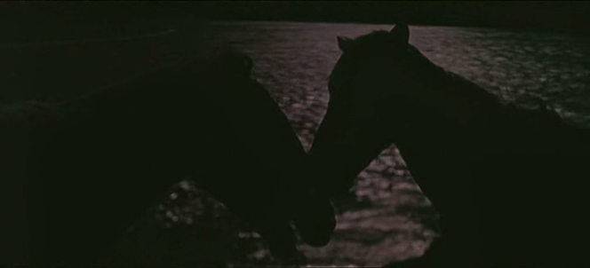 vlcsnap-2020-05-05-06h32m31s119