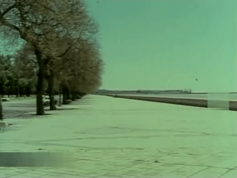 vlcsnap-2020-06-06-11h30m20s128