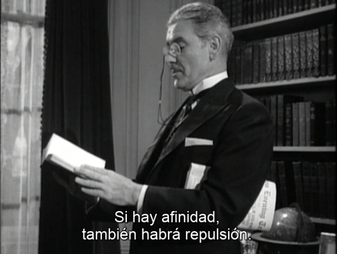 vlcsnap-2019-03-13-16h06m42s904