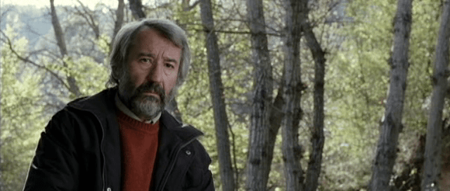 vlcsnap-2020-08-02-15h34m29s650