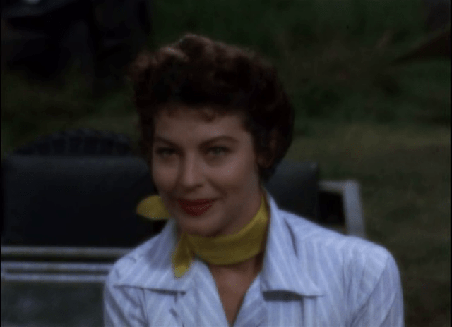 vlcsnap-2020-08-18-12h30m53s53